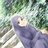 Noor Aini Mohd Nazir