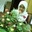Nurul Murni Md Saleh