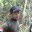 Purwo Widodo