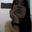 Patricia Hati Singa