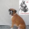 Prakash Kennel
