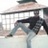Praveen Dobhal
