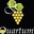 Quartum Cantine Di Criscio