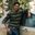 Rahul Kumar