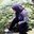 Raiza Hauraa