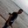 Ravi Singham