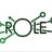 ROLE  Project