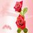 Rosalba Marisol Flores