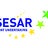SESAR Joint Undertaking