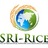 SRI-Rice, CIIFAD, Cornell University