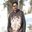 Sajeev Kumar