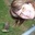 Sam Ashby