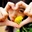 SassyGirl Winnie