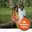 Senthil Ayyasamy