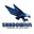 ShadowAir Ltd. Airborne ISR Solutions