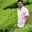 Shafil Yusuf