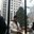 Sherry Surong Ruan