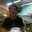 Sjarif Ahmad