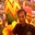 Subbu Thenu
