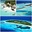 Summer  Maldives