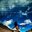 Tanmoy Bhattacharjee