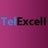 TelExcell Information Systems Ltd. New Delhi