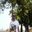Tridib Karmakar