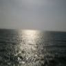Vineet Rohit