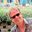Volker Tresp
