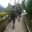 Wayn Ardana