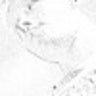 William Veloz Guzman