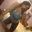 Ximena Montesdeoca 2do B sociales