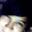 Yireth Saray A