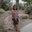 Yolanda Nieves