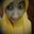 Niar Selalutersenyum
