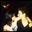 Aditi Ja