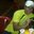 Haroldo Guillen