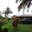 Adson Silva