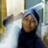 Afifa Nabila