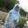 Nurul Afiqah