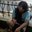 Khamaruddin Agam