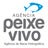 AGB Peixe Vivo