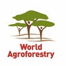 World Agroforestry Centre (ICRAF)