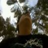 aldowilly