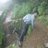 Alok Singh