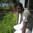 Amit Arvind