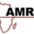 David Amref
