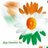 Amrut Nandedkar