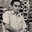 Andre Noore