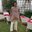 Ankit Chawla